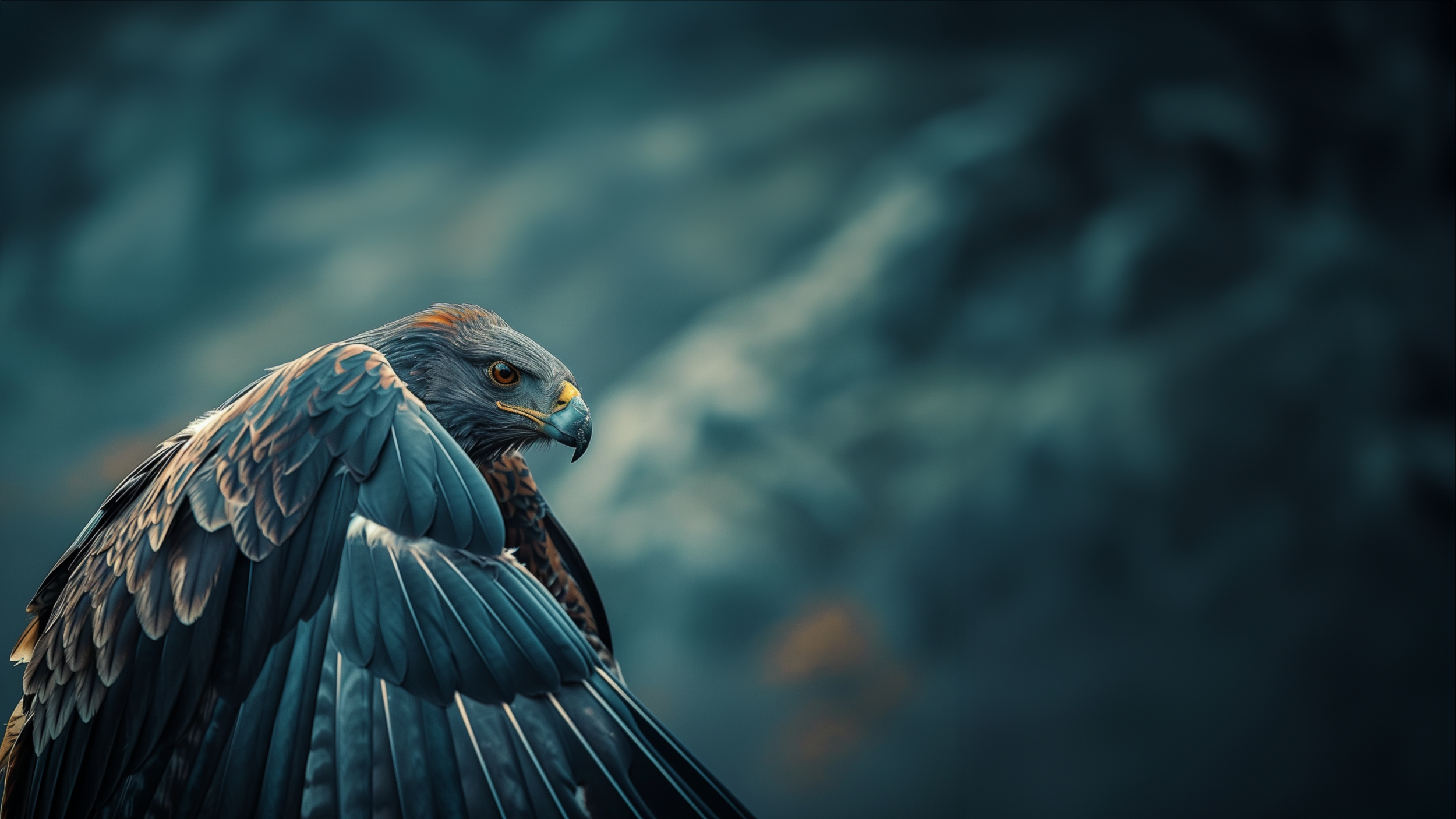 Hoka — “Bird's Eye”, image 6