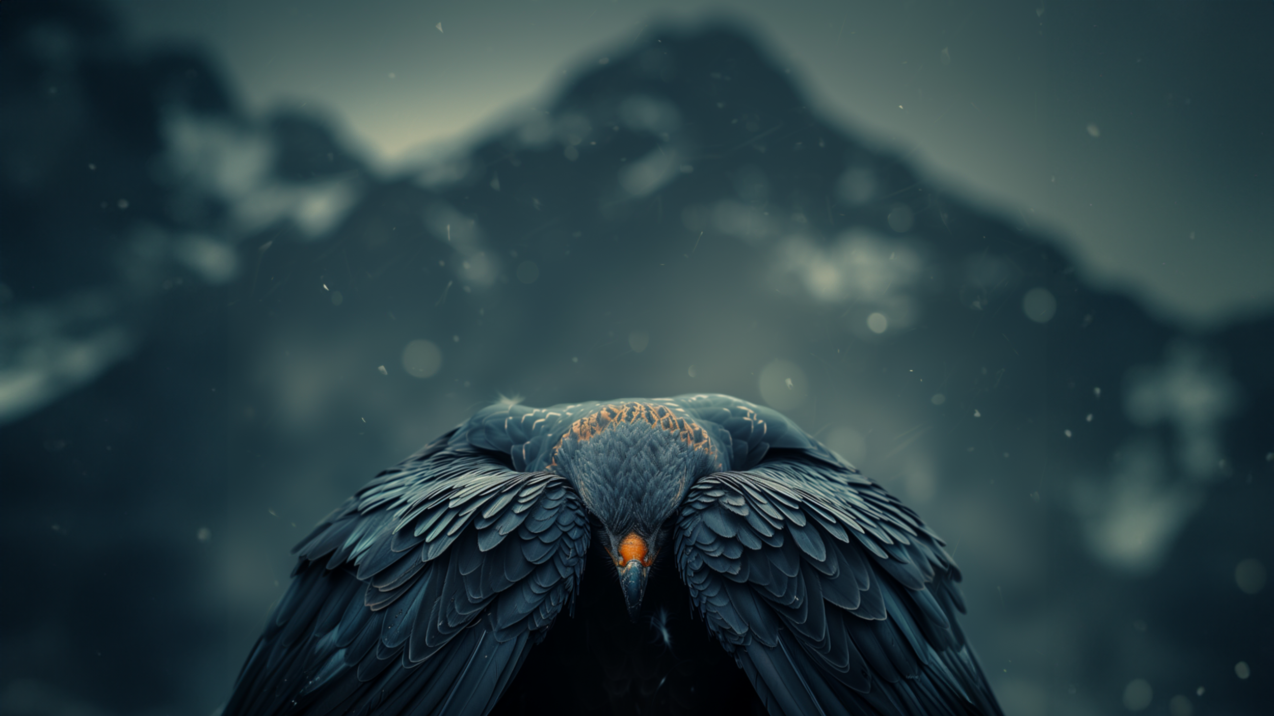 Hoka — “Bird's Eye”