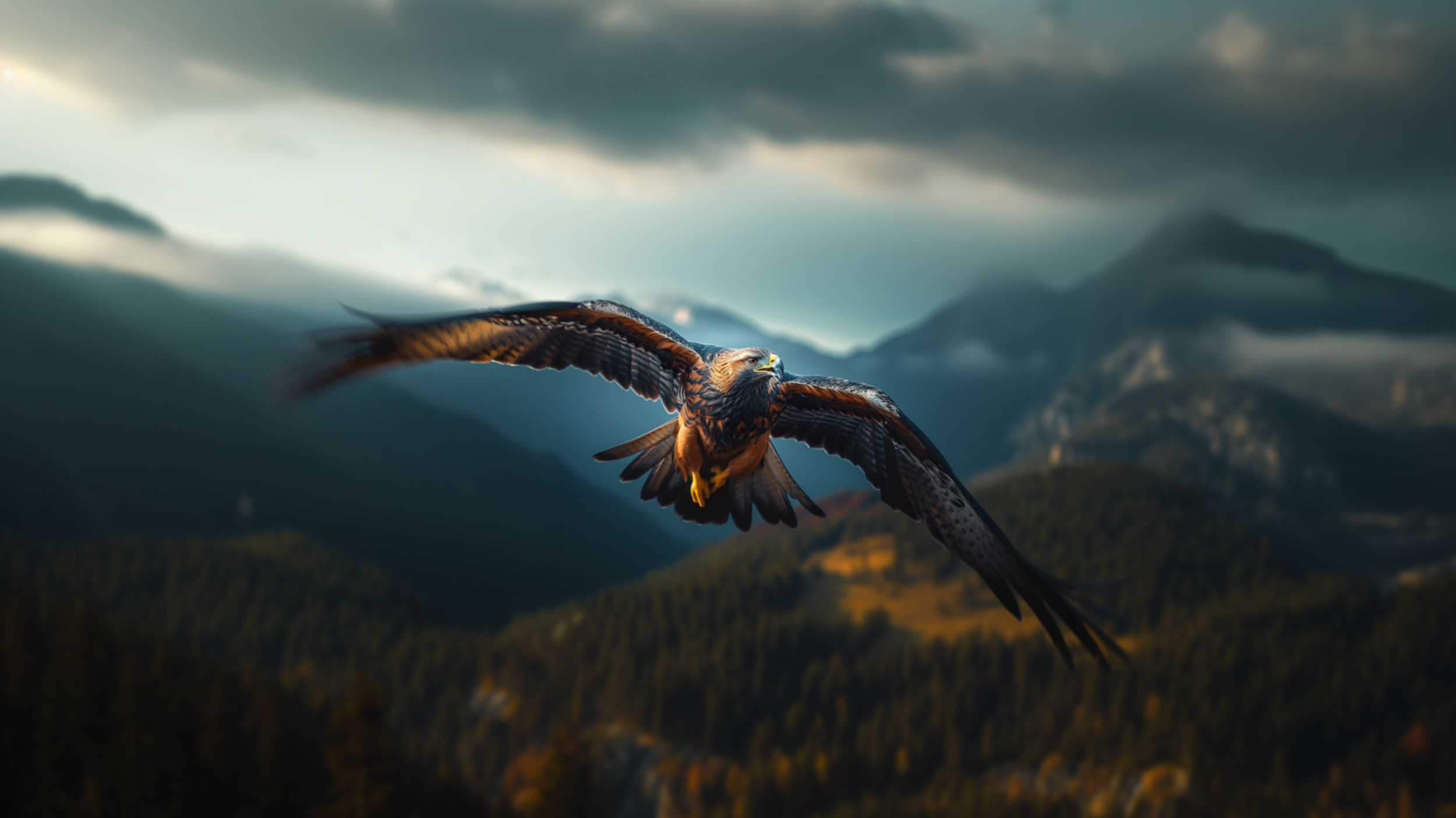 Hoka — “Bird's Eye”, image 23